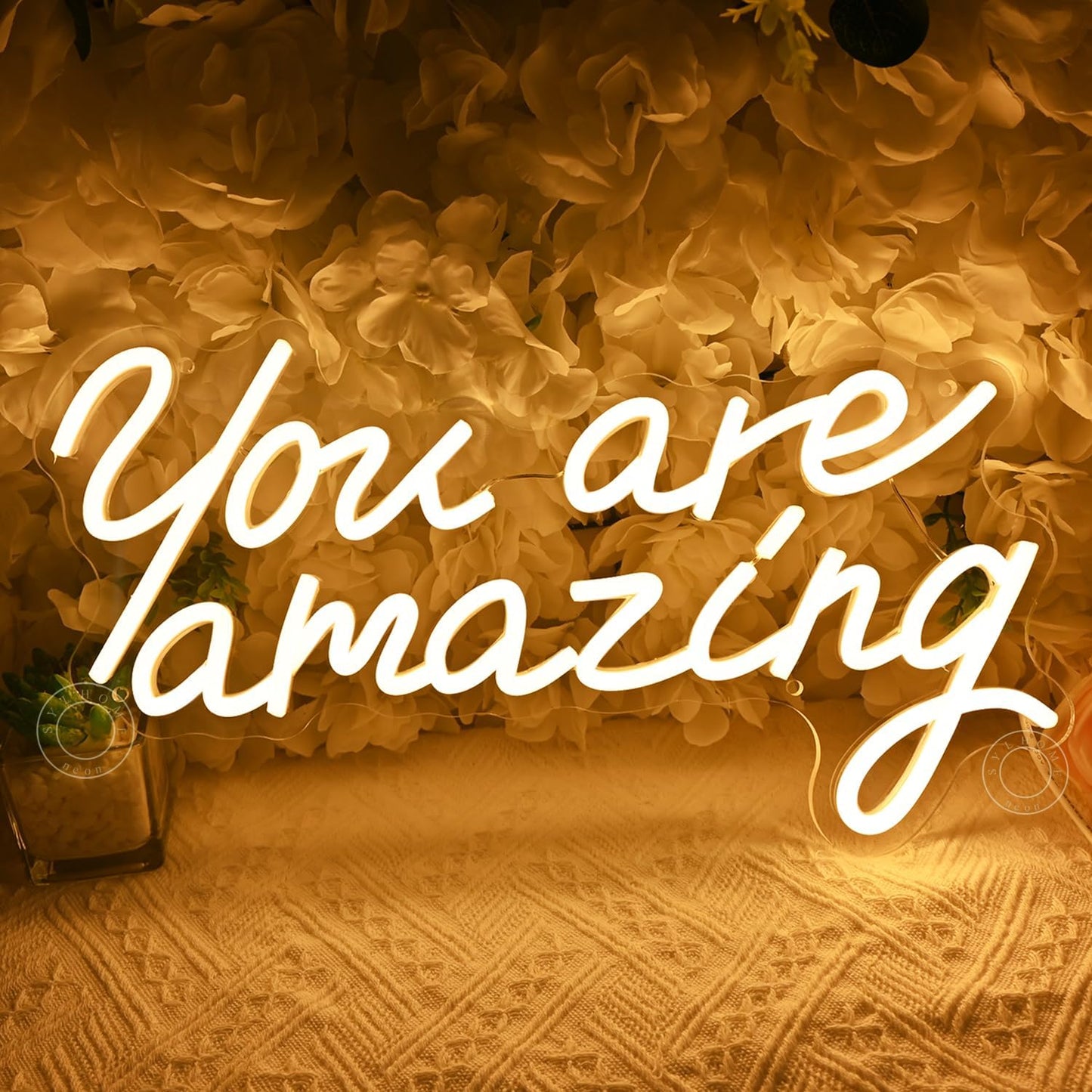 SYLHOME You Are Amazing Led Neon Light Sign Girls Bedroom Kids Room Wall Decor Sign Wedding Birthday Christmas Graduation Party Sign Student USB 15.75" X 8.94" Warm