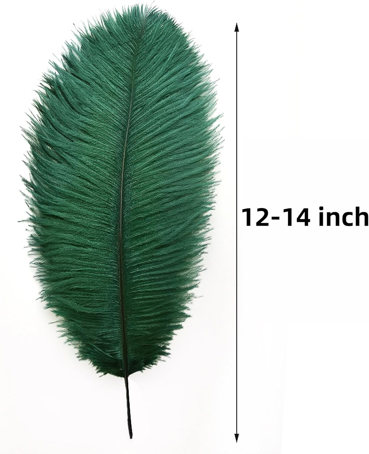 Ballinger Blackish Green Ostrich Feathers Bulk- 24pcs 12-14inch Big Feathers for Wedding Party Centerpieces Christmas Decor
