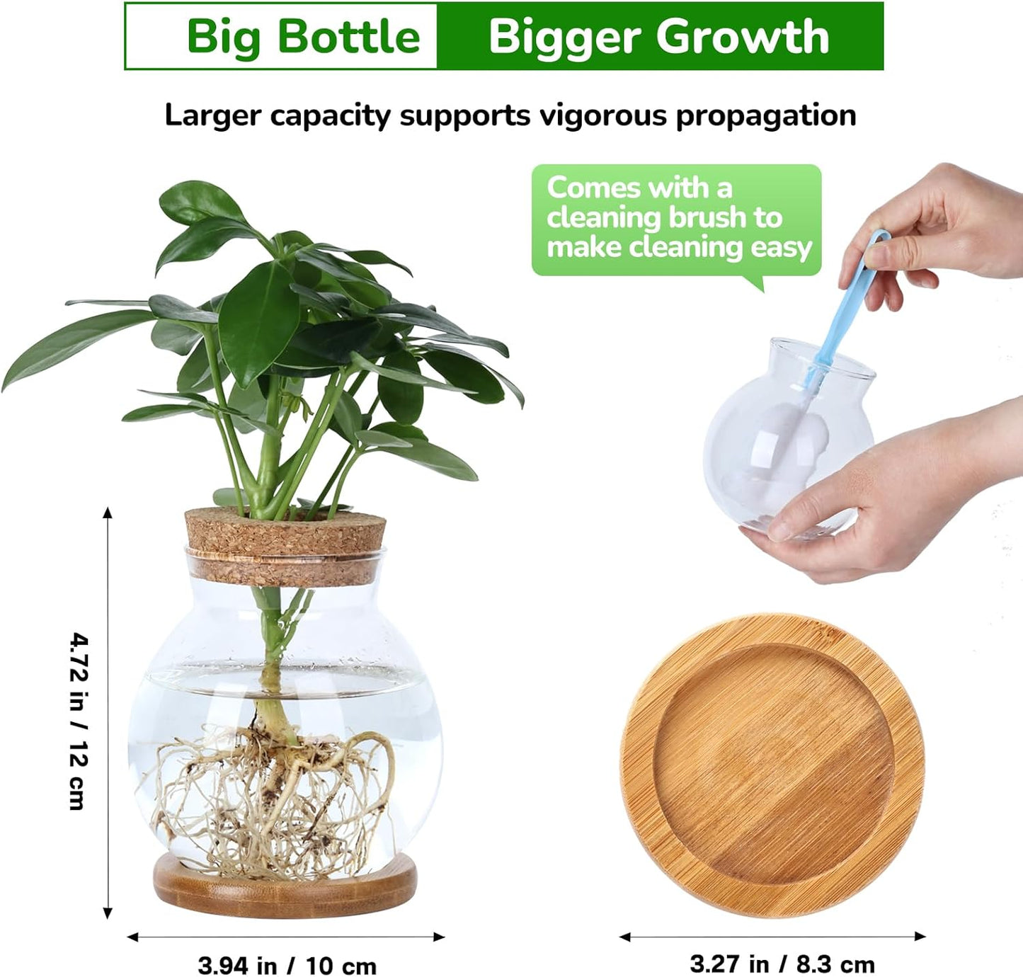 Propagation Station, Larger Capacity Ball Vase with Base for Hydroponic Plants, Home/Office Decor & Gift for Plant Lovers, 2pcs Glass Terrariums