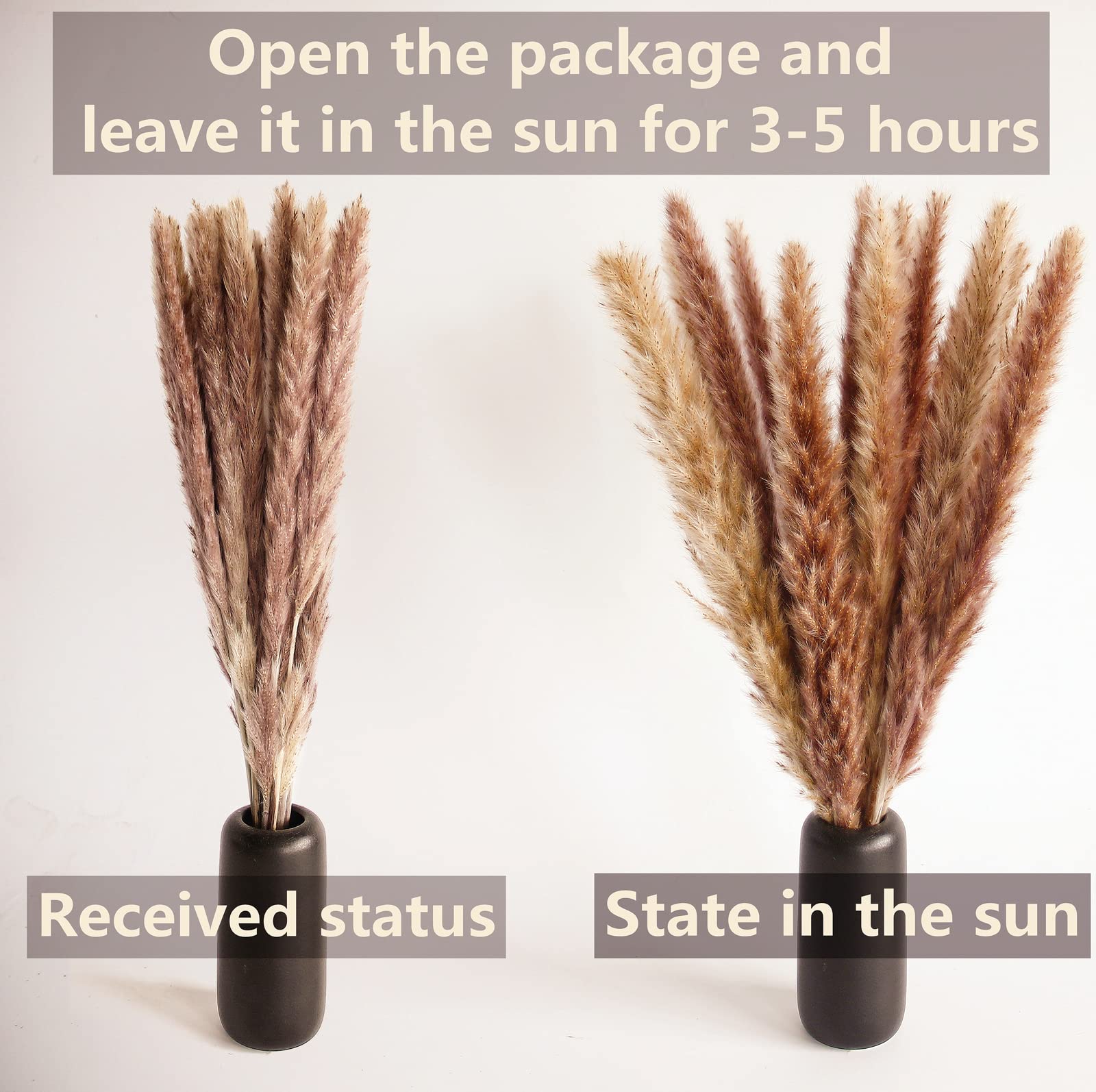 100 PCS Small Boho Pampas Grass, 17" Naturally Dried Pompas, Pampas Grass Decor for Wedding , Boho