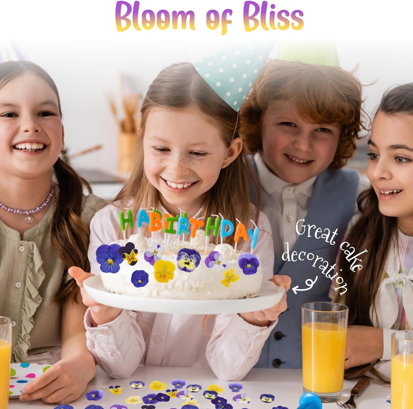 70 Pcs 8 Kinds Natural Dried Pressed Edible Flowers for Cake Topper Decorating - Mix Viola Tricolor for Cupcake Toppers, Cocktails, Resin Jewelry Making, DIY Art Crafts