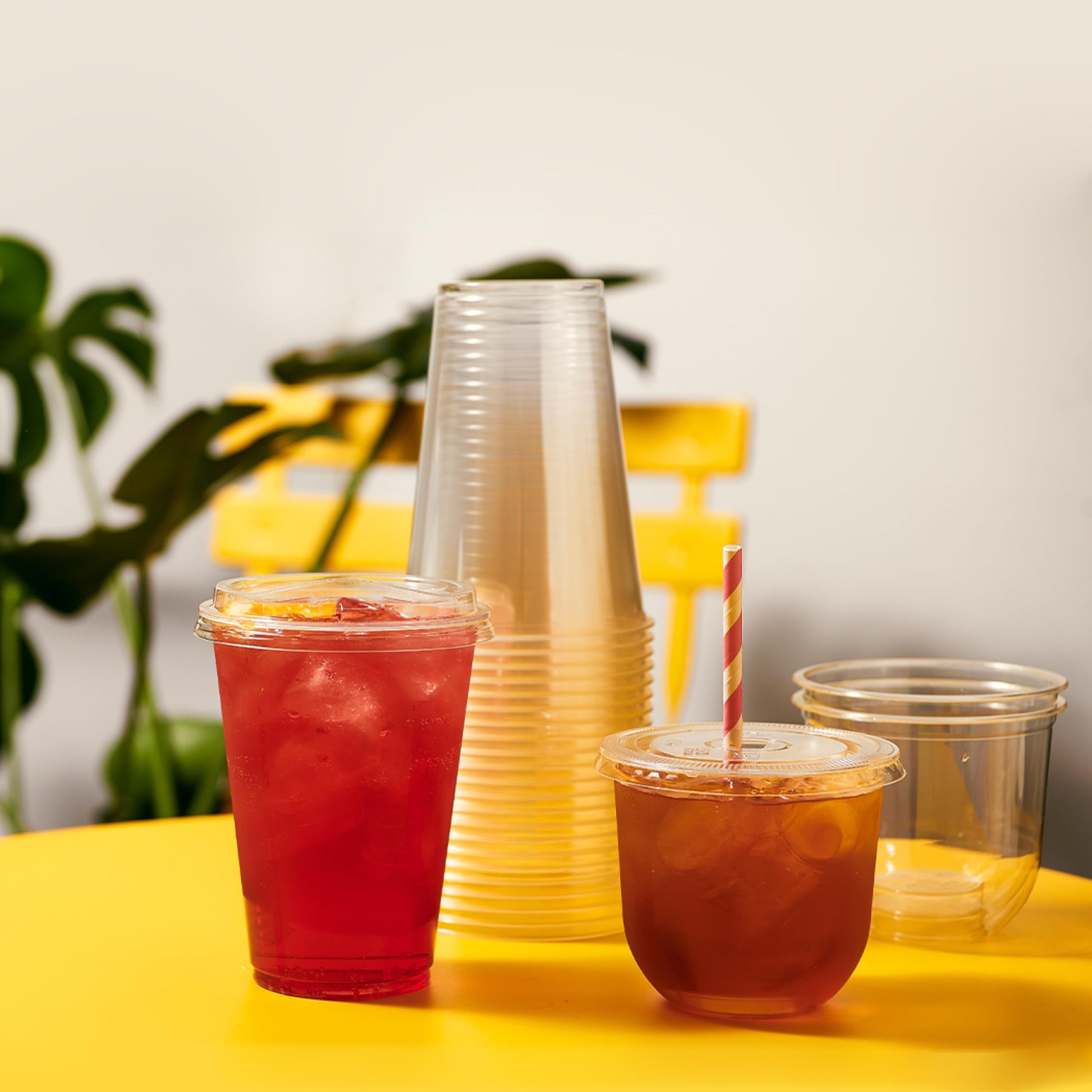 TOSSWARE NATURAL Arc - Plant Based Clear Cold Cups 12 oz - Plastic Alternative for Parties