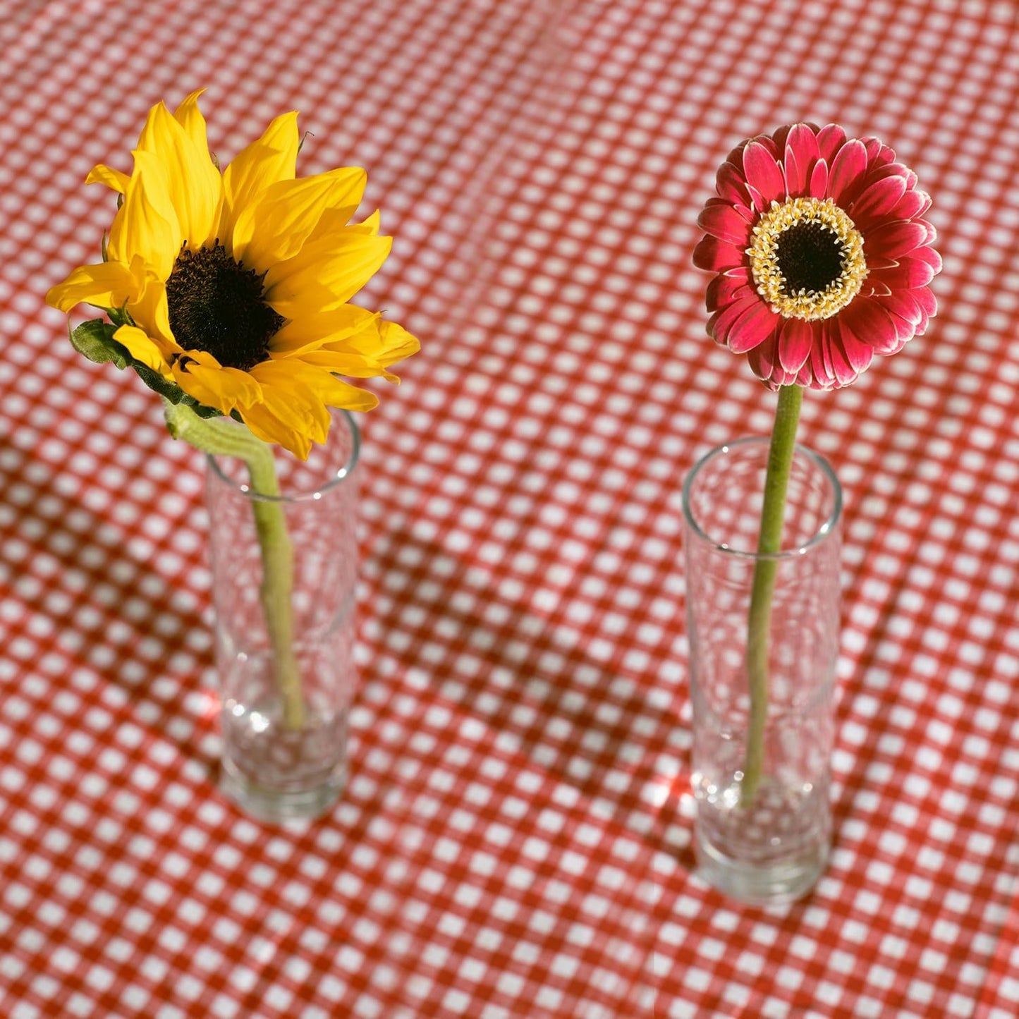 12 Pack 7 Inch Glass Cylinder Bud Vases for Centerpieces Clear Slim Flower Vases Tall Glass Cylinder Vase Small Vase for Single Rose Vases Bulk, Home Aesthetic Desk Decor
