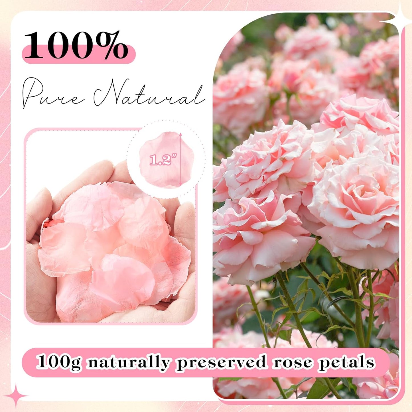 380 Pieces Real Light Pink Rose Petals Dried Rose Flower Petals for Wedding Will You Marry Me, Valentine's Day, Romantic Night,Wedding, Proposal, Anniversary, Event, Party, Special Night Decorations