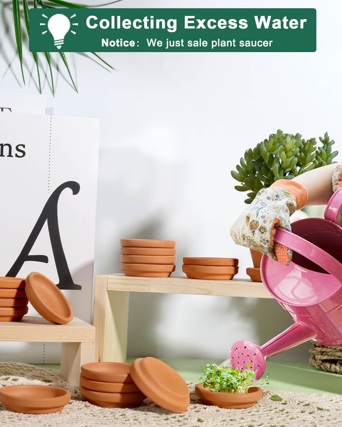 vensovo 2 Inch Terracotta Plant Saucer Pots Tray - 12 pcs Mini Planter Saucers for Indoor & Outdoor Plants, Small Clay Trays Perfect for 1 Inch 1.5Inch Flower Pot