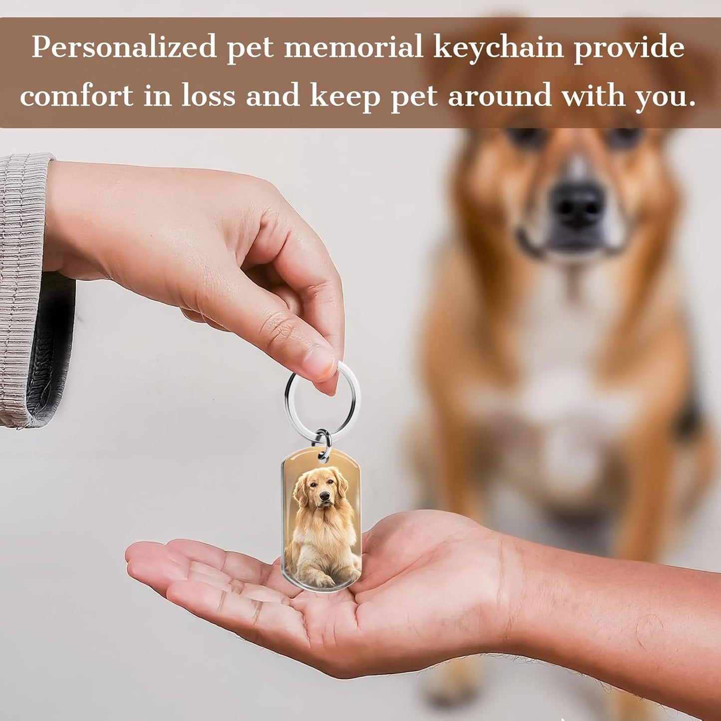 Custom Dog Memorial Photo Keychain Personalized Sympathy Gifts for Loss of Dog Memorial Passing Away Gifts for Dog Cat Lovers (03-Silver)