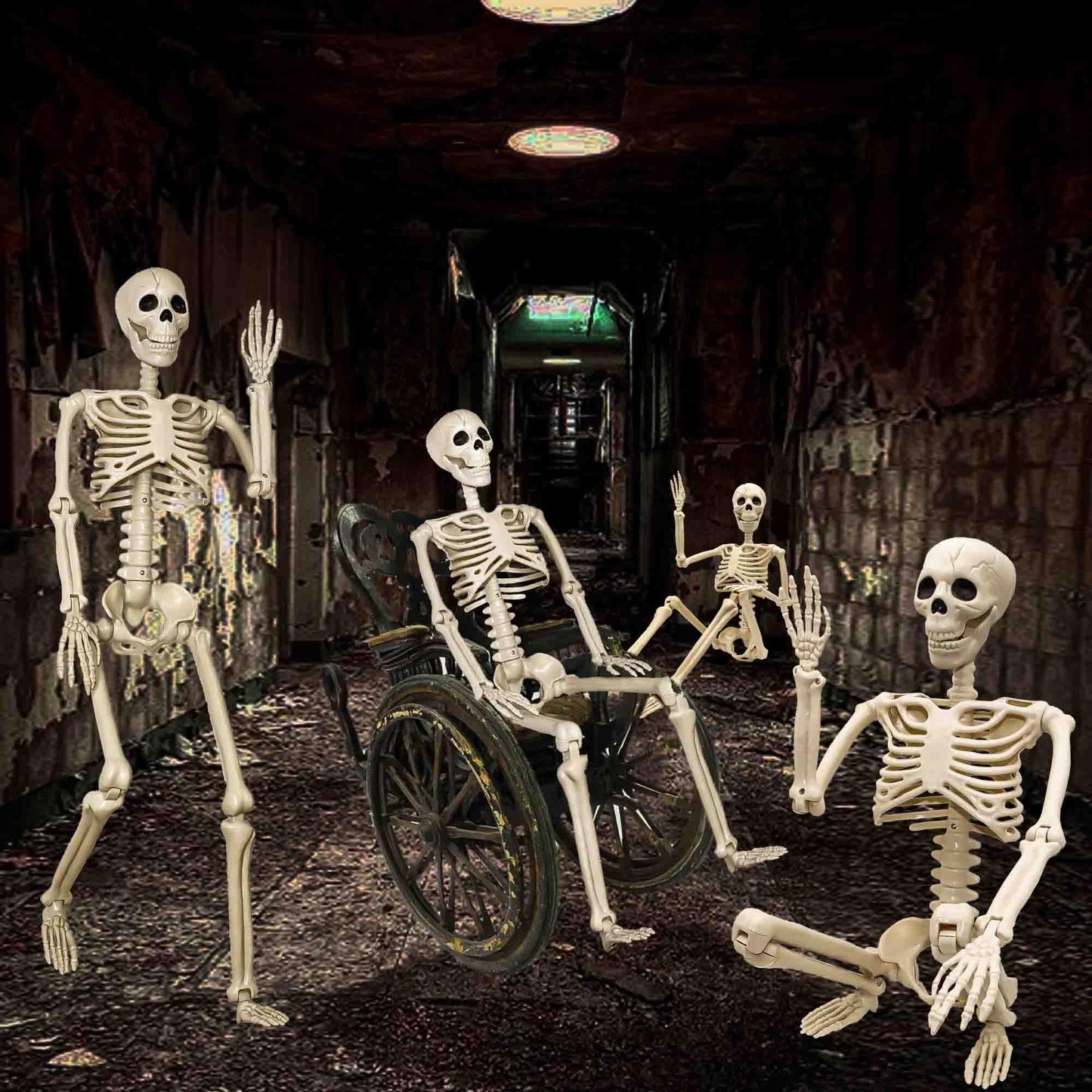 2 Pack 36"Halloween Skeleton - 3 ft Life Size Human Skeleton with Full Body Posable Joints Plastic