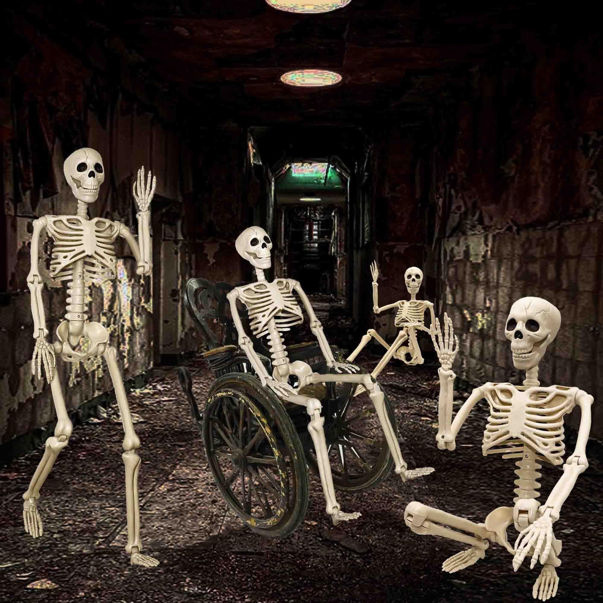 2 Pack 36"Halloween Skeleton - 3 ft Life Size Human Skeleton with Full Body Posable Joints Plastic