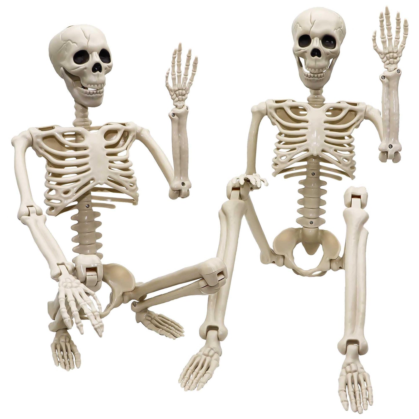 2 Pack 36"Halloween Skeleton - 3 ft Life Size Human Skeleton with Full Body Posable Joints Plastic