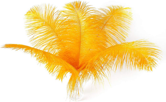 24pcs Natural Luxury Gold Ostrich Feathers 10-12inch (25-30cm) for Wedding Party Centerpieces，Flower Arrangement and Home Decoration.