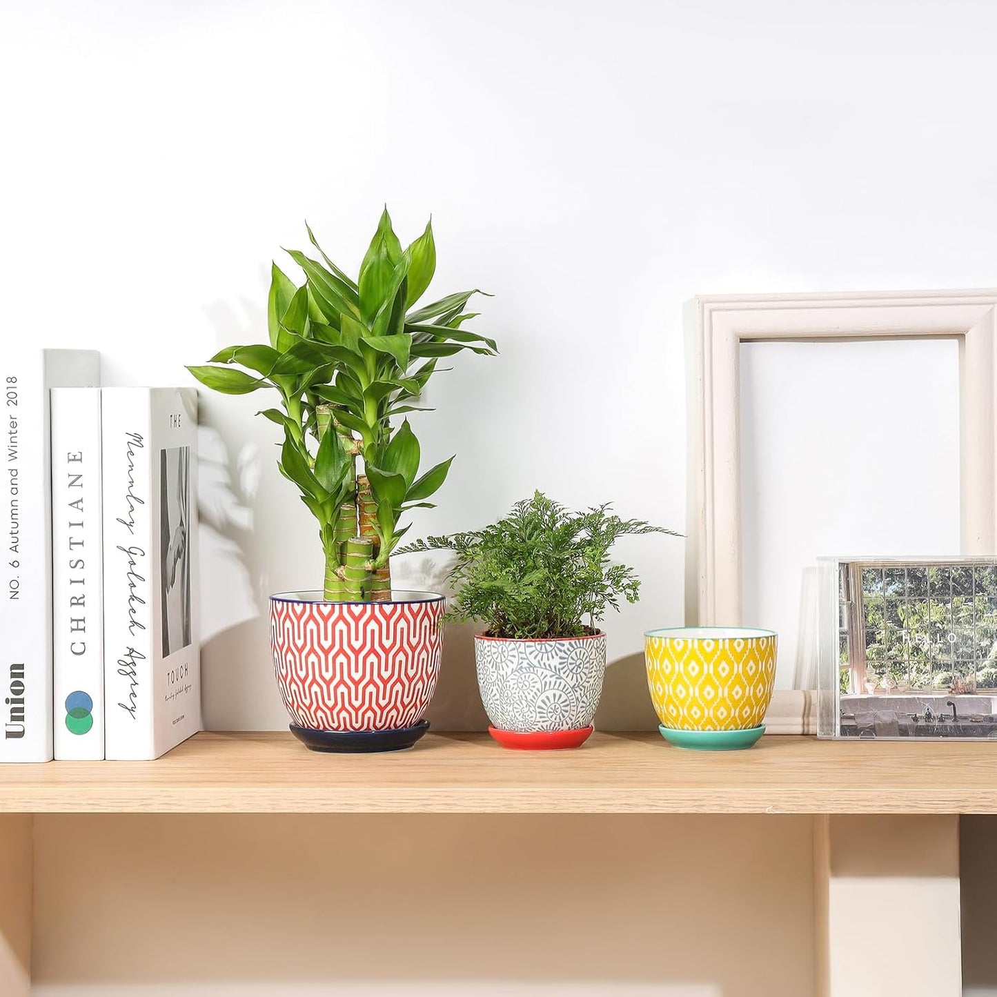 Selamica Ceramic Succulent Pots with Drainage Holes, Small Flower Pots 3.5 Inch Plant Pots for Indoor Plants with Saucers, Cactus Succulent, Home Decor, Set of 4, Assorted Colors