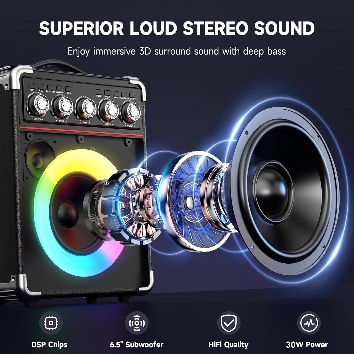Karaoke Machine with 2 Microphones: HWWR Portable Karaoke Machine for Adults Kids, Party Bluetooth Speaker with Bass/Treble Adjustment, PA System with Remote Control/LED Lights, Support REC/USB/AUX