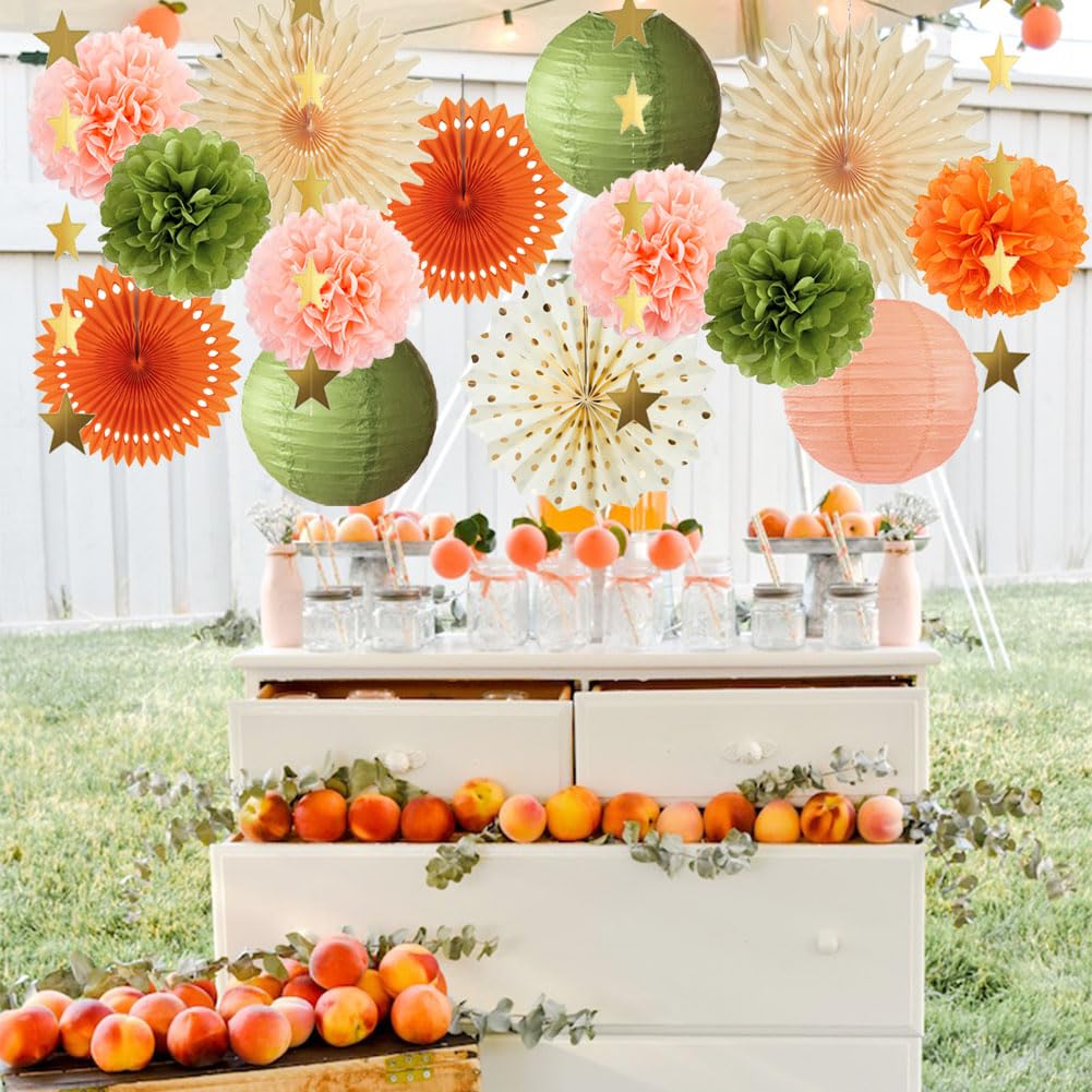 Olive Green and Orange Party Decorations Olive Birthday Party Decorations Peach and Orange Poms