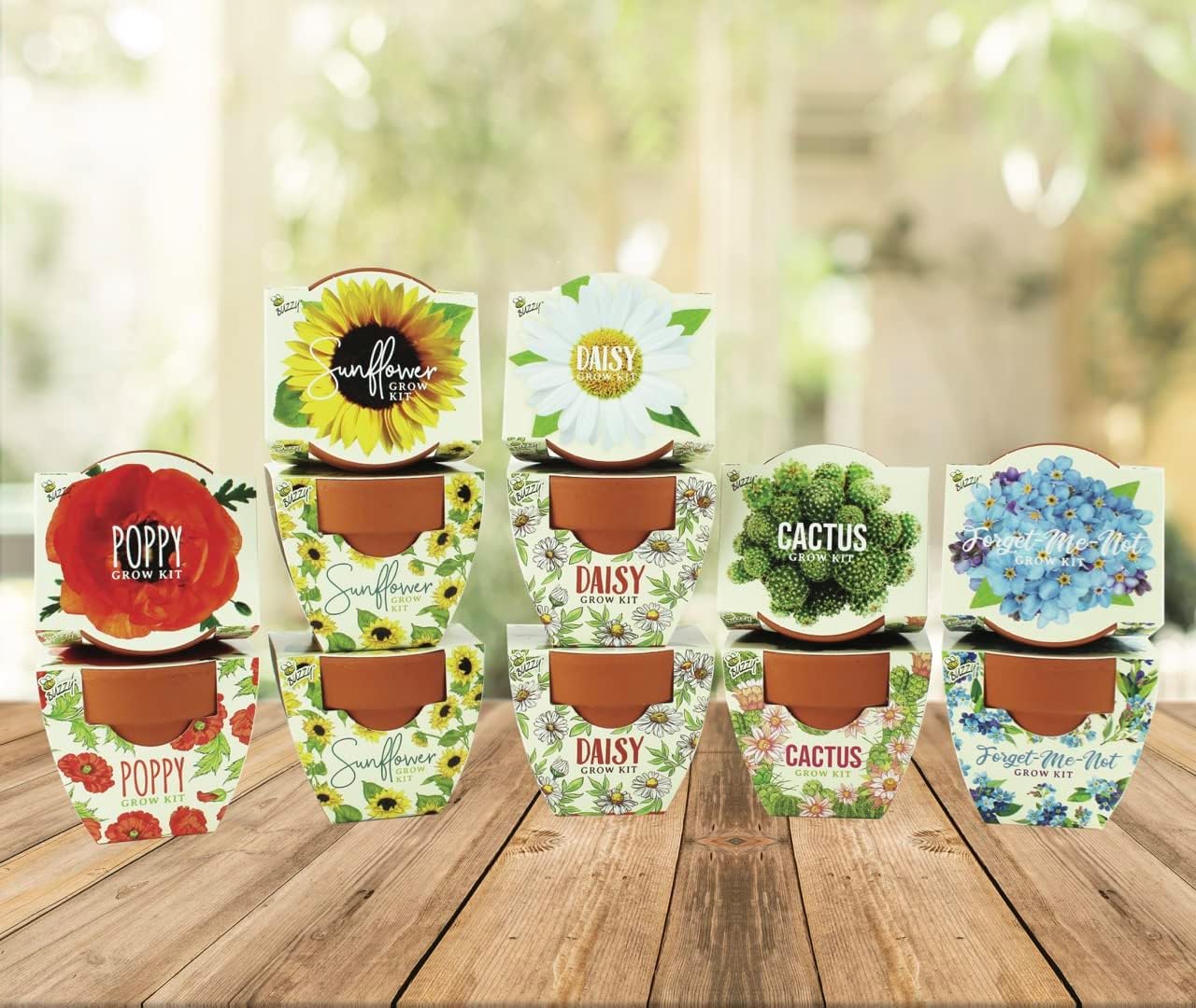 BUZZY Seeds Mini Terracotta Pots 12-Pack with Plant Seeds, Poppy, Sunflower, Daisy, Cactus and Forget Me Not, All-in-One Seed Starter Kit, Indoor Outdoor Gardening Gift, Wedding Favors