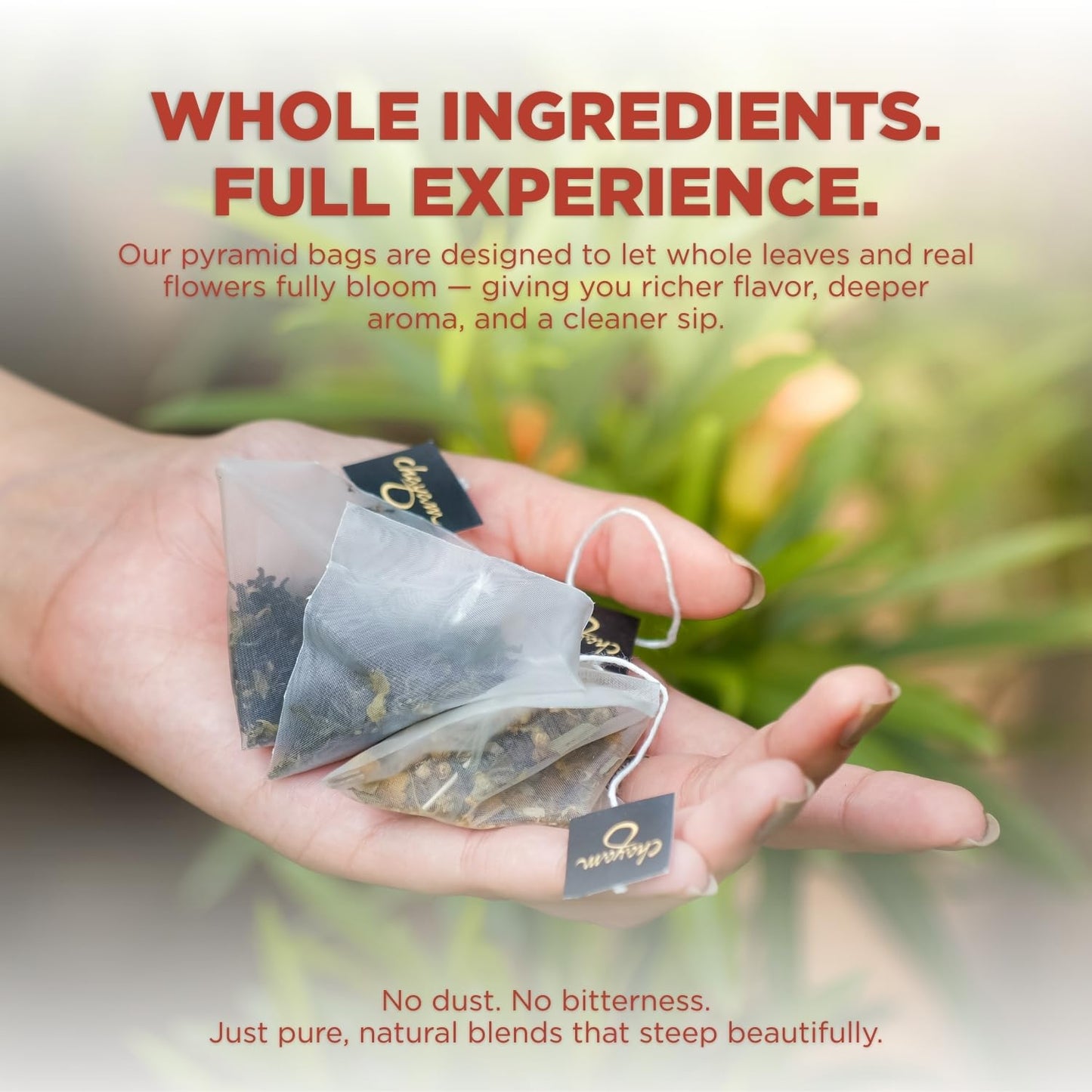 CHAYAM Assorted Tea Bags Variety Pack | 20 Pyramid Tea Bags - 5 Flavours x 4 each | Tea Bag Sampler Assortment | Green Tea, Herbal Tea Gift Box