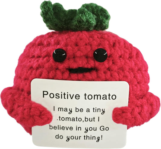 Birthday Gifts for Women Man-Emotional Cheer Support,Funny Handmade Tomatoes Unique Cute Presents for Her Him Women Men Friend Coworker Family