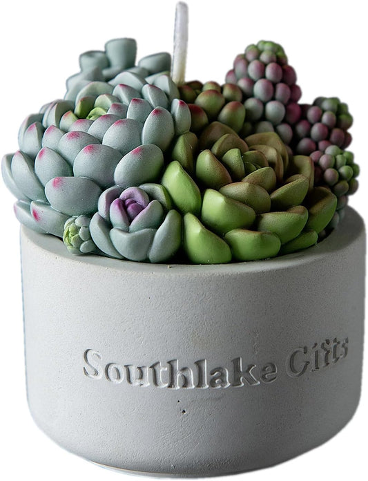 Assorted Succulent Pot Scented Candle for Spa Home Decoration Wedding Gift