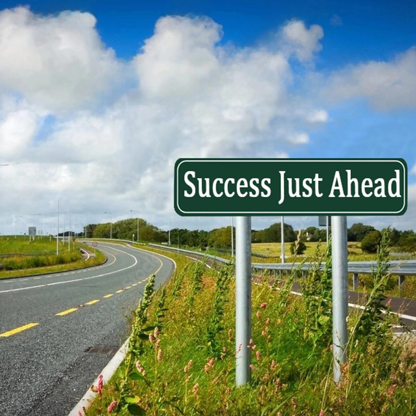 Custom Sign, Personalized Metal Signs,Customized Metal Signs Outdoor for Offices, Businesses, Workplaces, Street, Address, Indoor and Outdoor Use