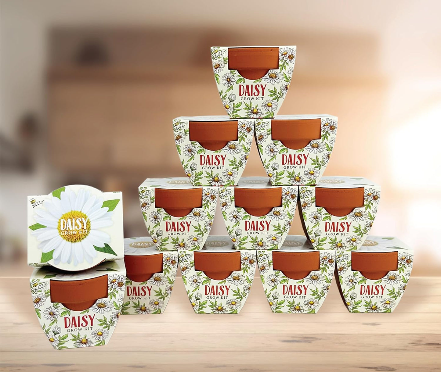 BUZZY Seeds Daydream Mini Terracotta Pots 12-Pack with Daisy Seed Packets – All-in-One Starter Set with Growing Medium and Easy Instructions, Gardening Gift, Wedding Favors, Corporate Gifting