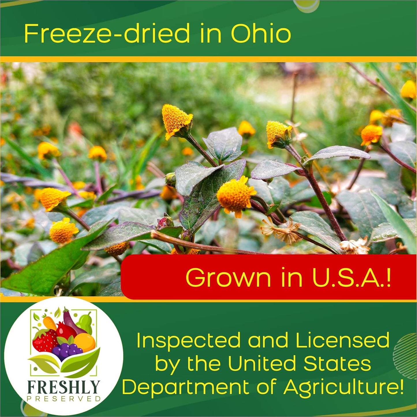 Buzz Buttons Edible Flowers for Cocktails & Desserts - 20 USA Grown Flowers for Drink Garnish - Freeze-dried Spilanthes/Szechuan Button/Acmella Oleracea Flowers (0.2 oz)