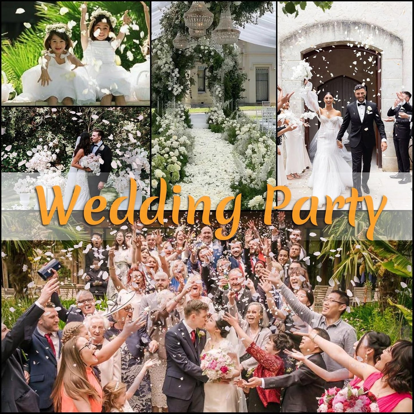 300 PCS Real White Rose Petals for Wedding, 2.82oz Fresh Rose Petals for Flower Girl to Throw, Flower Petal for Romantic Night Table Shower Party Decor