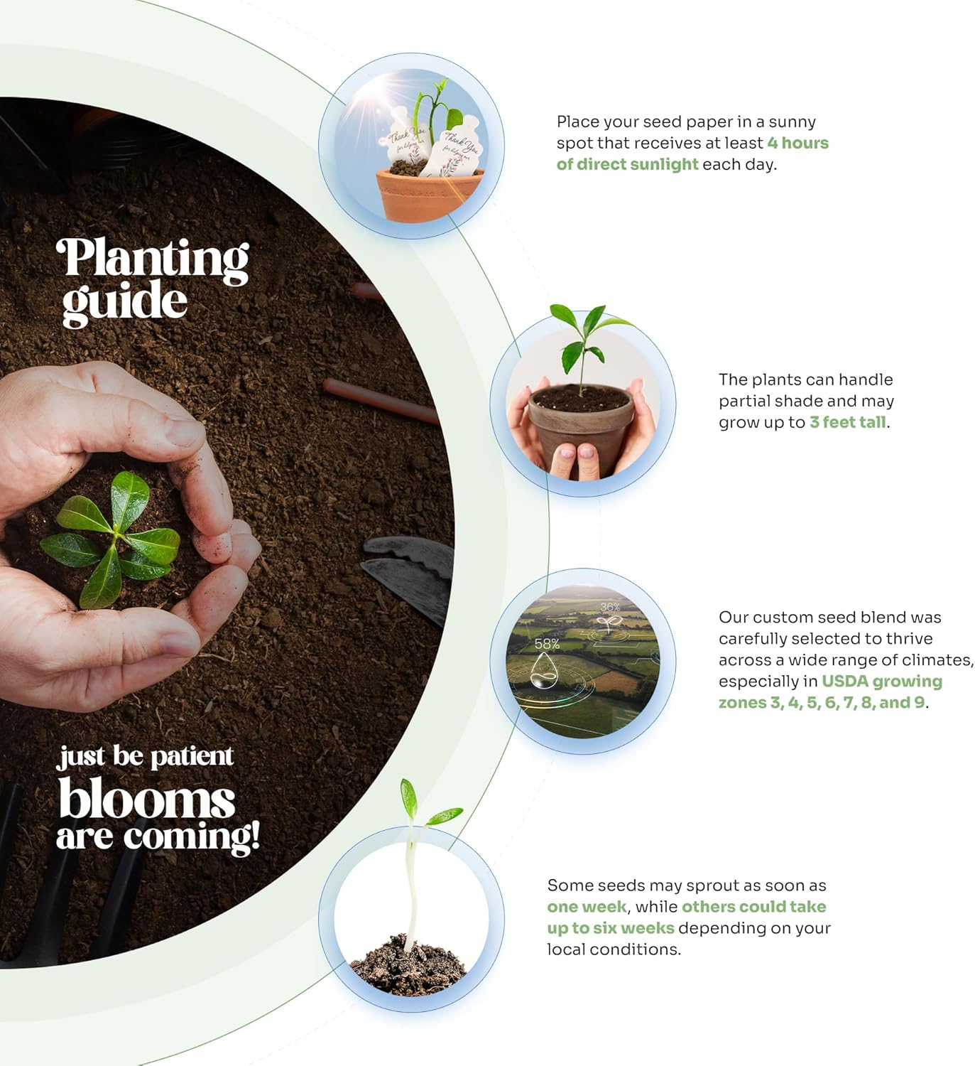 Set of 6 Seed Paper – 6 Pink Butterflies & 6 White Pots with Bow for Baby Shower, Gender Reveal, Birthday, & Other Milestone Celebrations