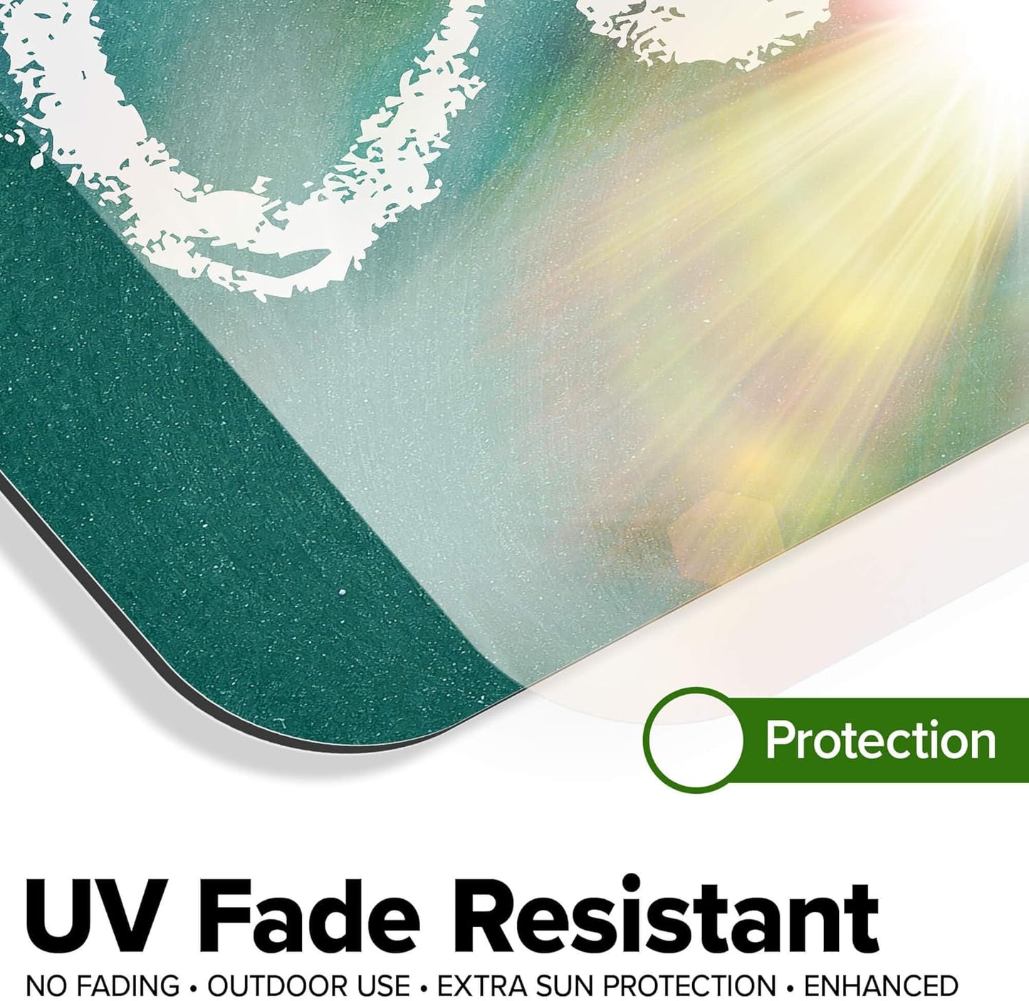 Custom Sign, Custom Street Sign, 11 Font Colors, 13 Font Styles, 4 Hole Options, 22 Sizes, 12x48 Inches, Rust Free DiBound, Fade Resistant, Made in USA by My Sign Center (Chalkboard Green)