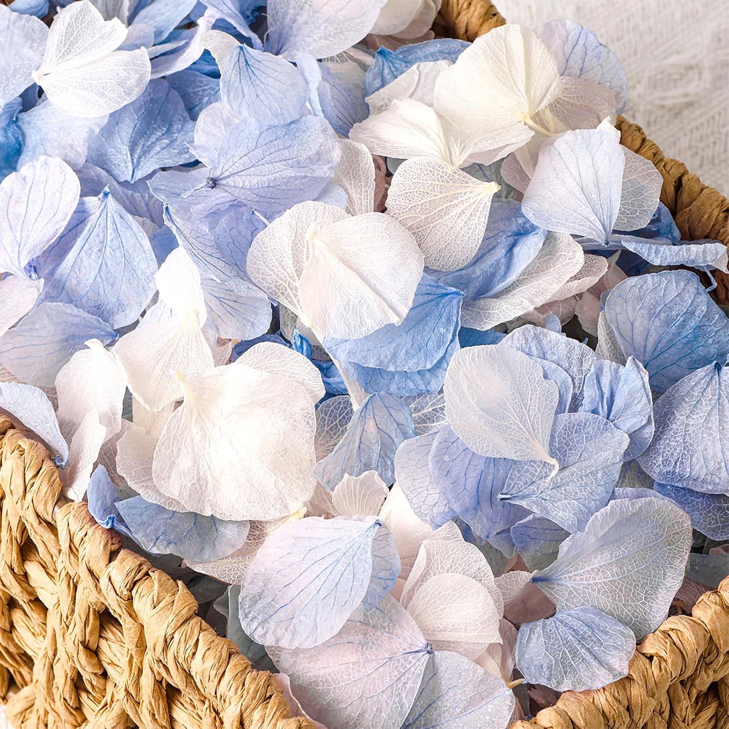 VAIPI 2500 PCS Hydrangea Petals 100% Natural Real Flower Petals for Wedding Aisle Flower Girl Scattering Flowers, Will You Marry Me, Valentines, Romantic Night, Proposal, Anniversary, Special Night