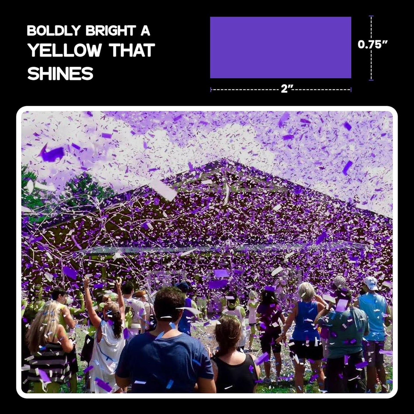 Purple Biodegradable Confetti - Rectangular Fluttering Tissue Paper Confetti for Cannon and Launcher use – Best for Gender Reveal, Parties, Concerts and Weddings - 20 lb, 320 oz