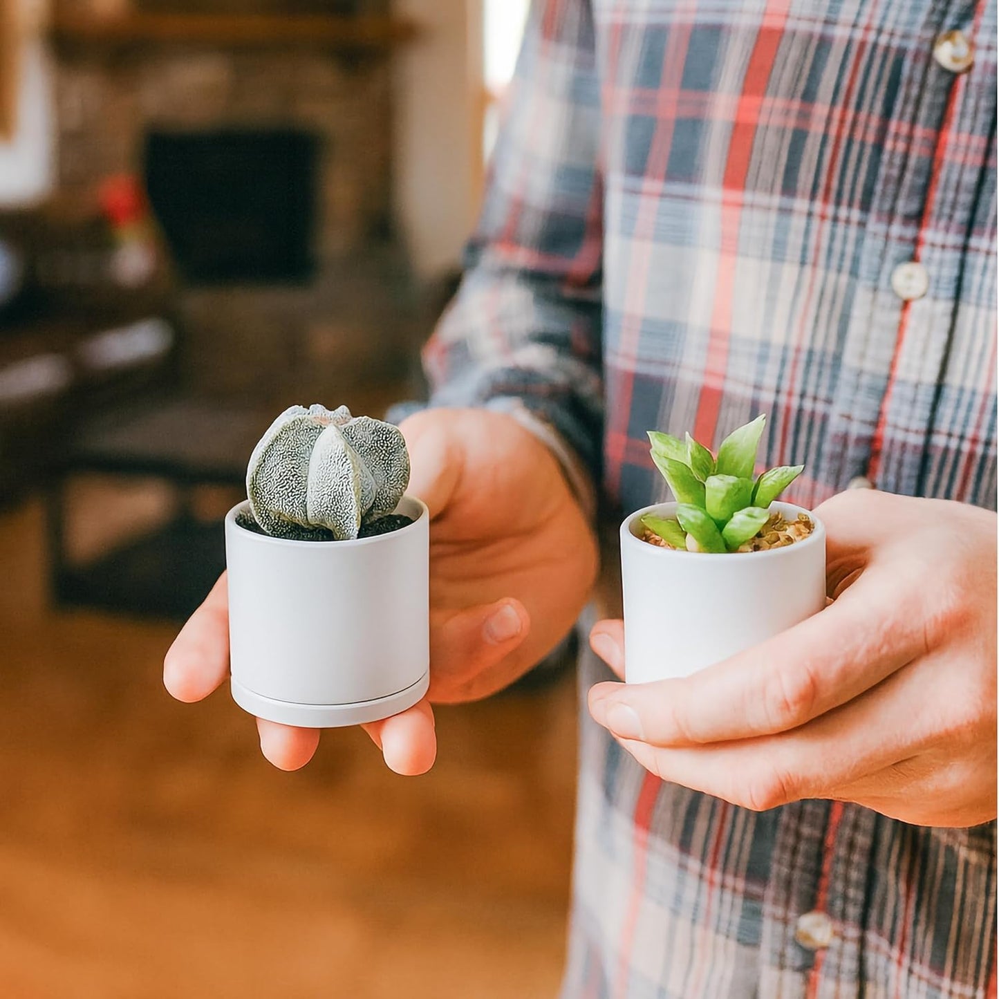 D'vine Dev 24 Pack 2 Inch Mini Plastic Plant Pots, Small Garden Planters for Plant with Drainage Holes and Saucers, White Color, 74-Z-A-6