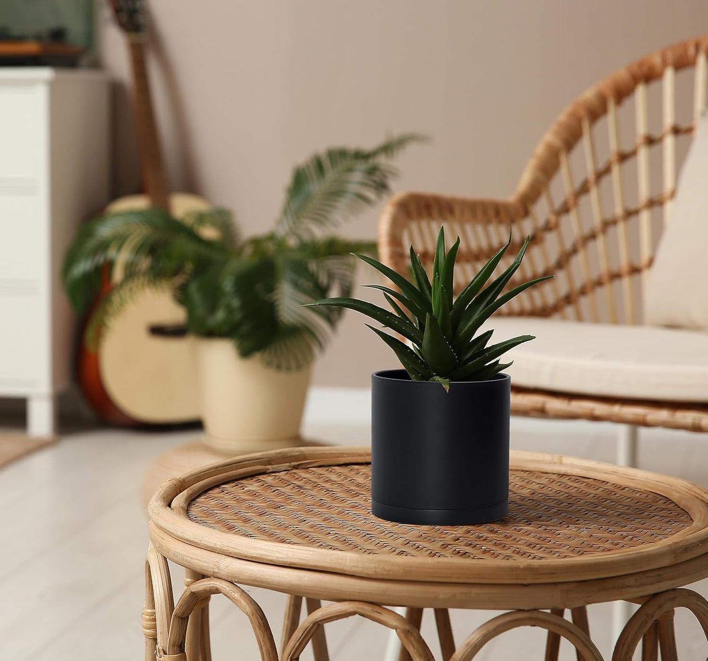 D'vine Dev 6 Pack 5 Inch Modern Plastic Plant Pots, Small Garden Planters for Plant with Drainage Holes and Saucers, Black Color, 74-Y-G-3