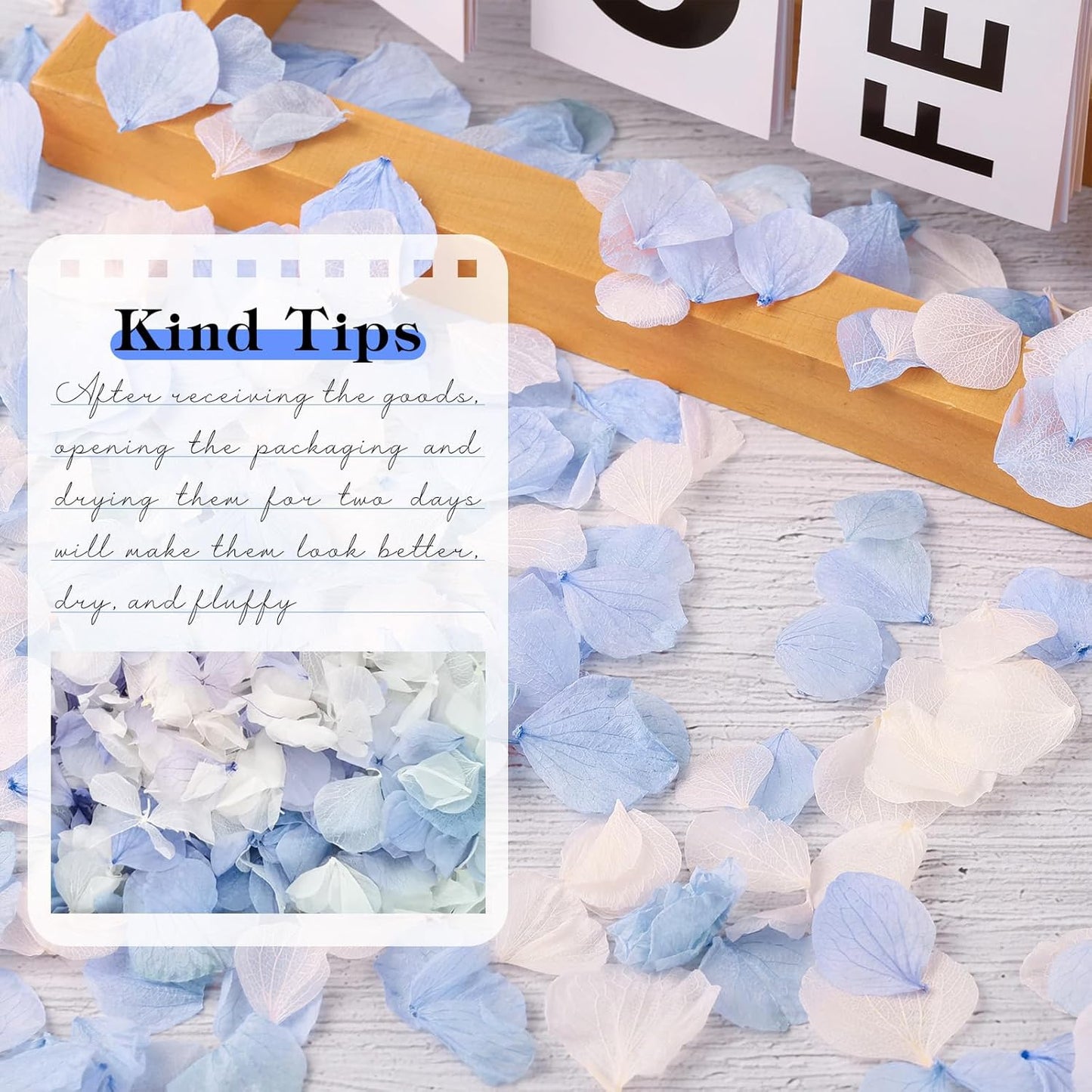 VAIPI 2500 PCS Hydrangea Petals 100% Natural Real Flower Petals for Wedding Aisle Flower Girl Scattering Flowers, Will You Marry Me, Valentines, Romantic Night, Proposal, Anniversary, Special Night