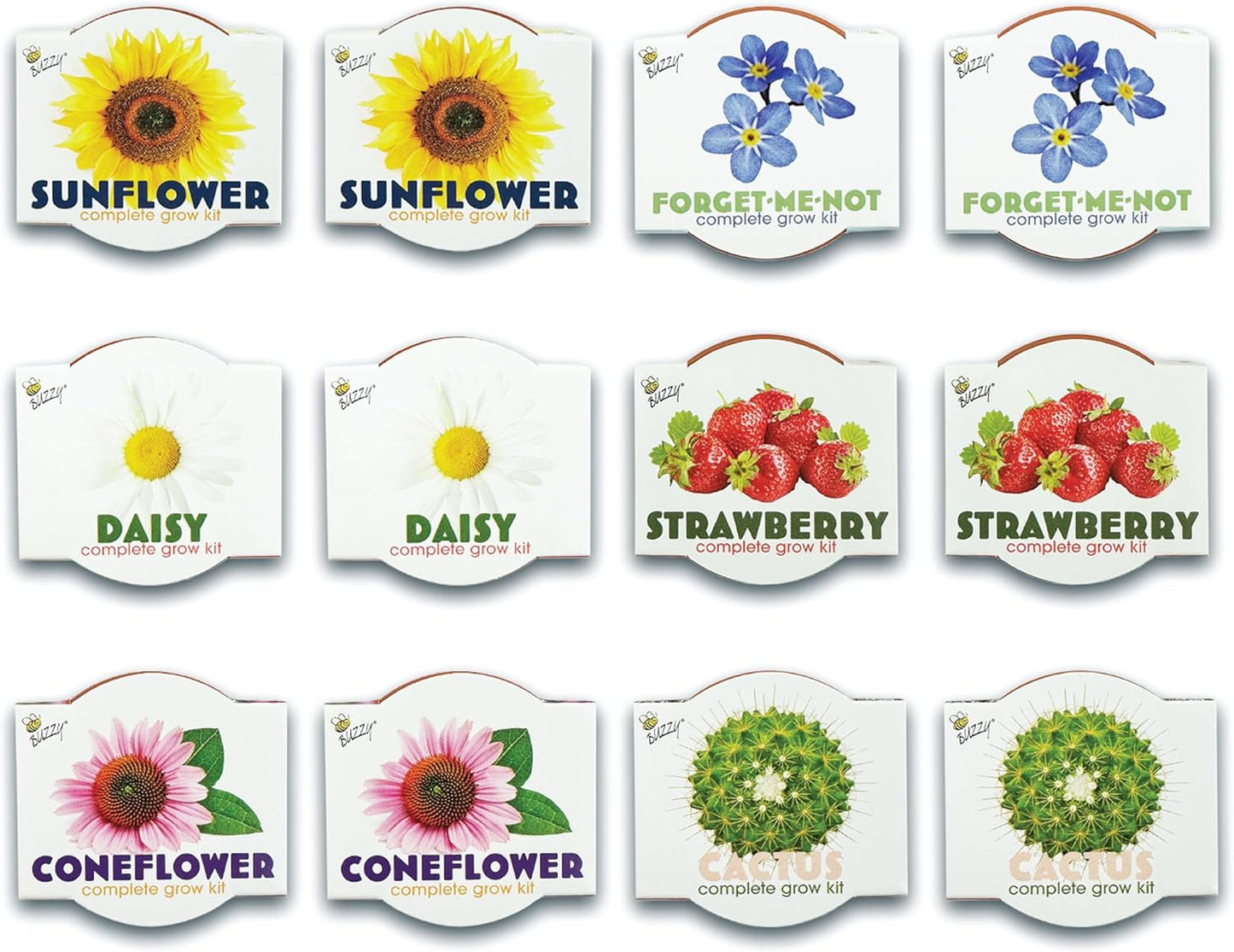 BUZZY Seeds Terracotta Mini Grow Pots | Herb, Plant, Flower Starter Kit for Kids & Adults | Assorted 12-Pack, Classic Collection | Guaranteed to Grow | Best Indoor-Outdoor Gardening Gift