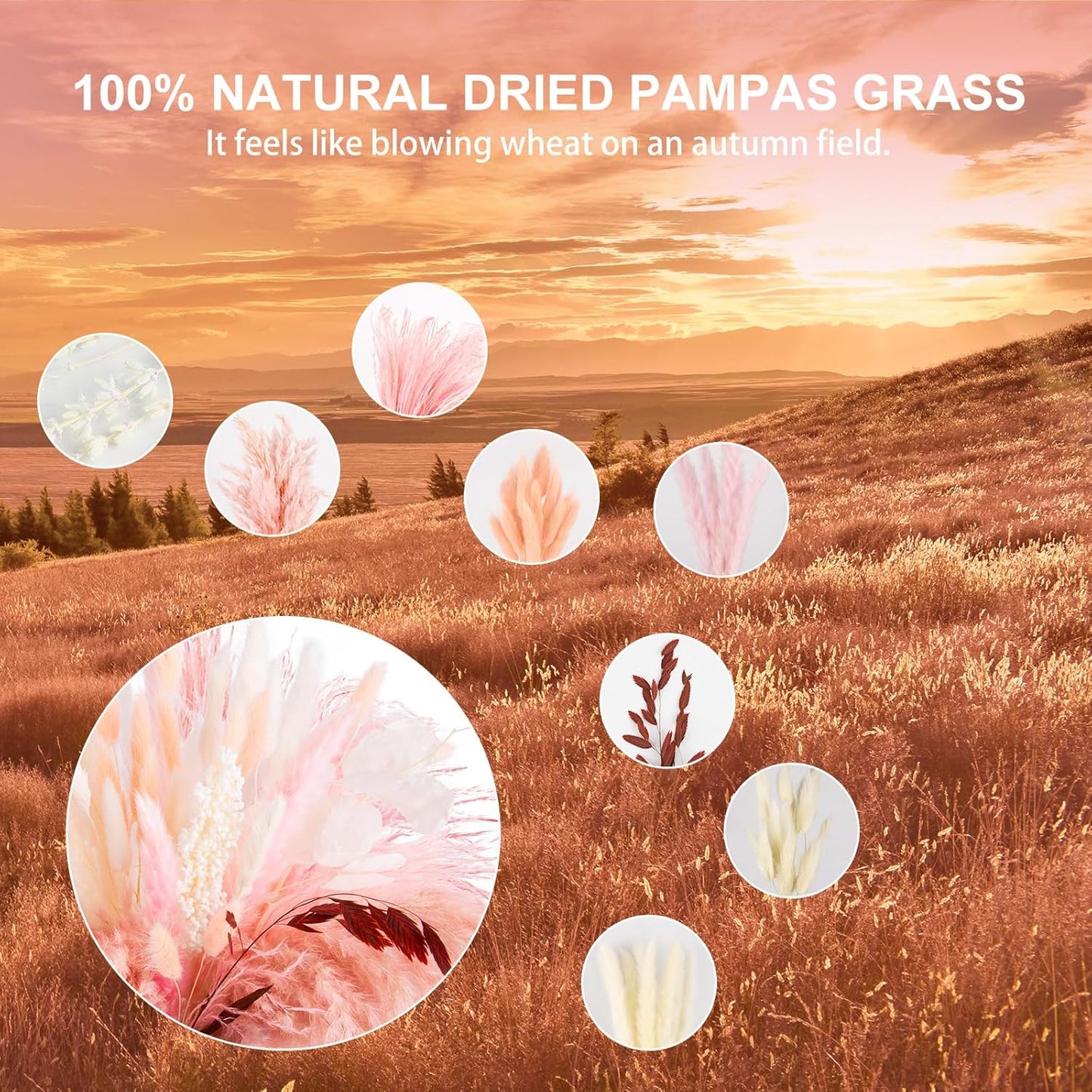 N&T NETING 85Pcs Pink Pampas Grass Decor, Natural Dried Floral Pampas Grass, Boho Home Decor, Fluffy Dried Pompas Grass for Home Wedding Boho Beach Theme Bedroom Decor