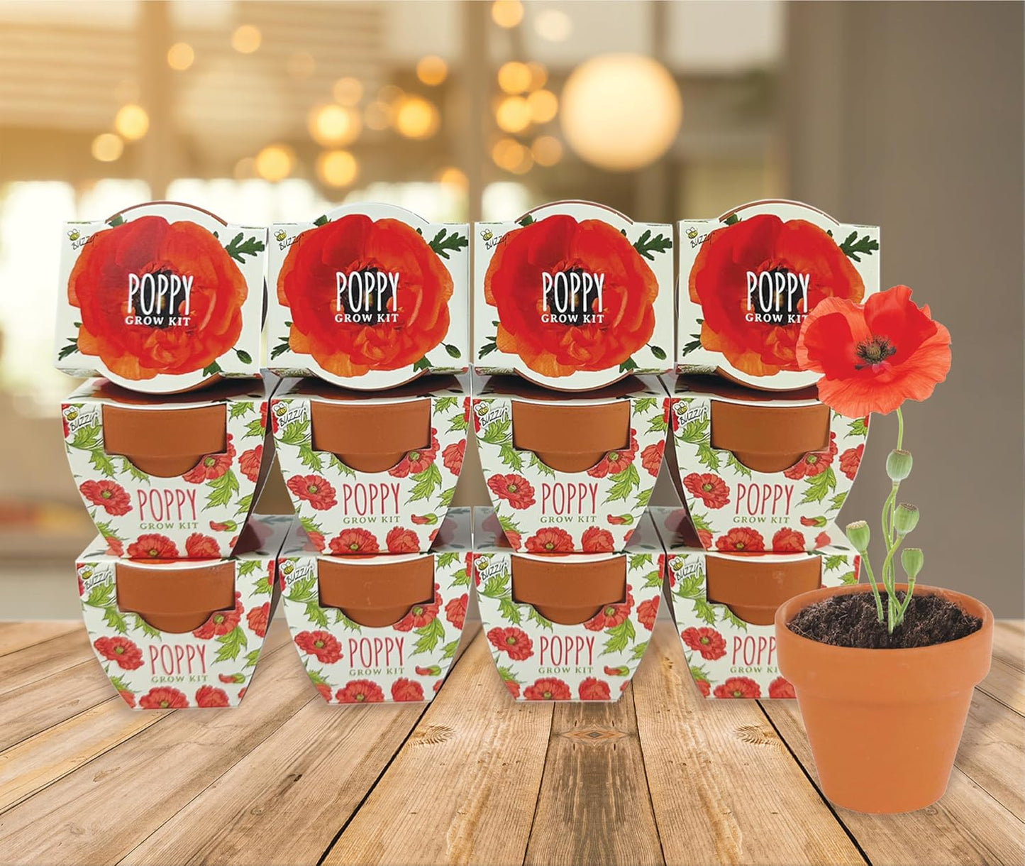 BUZZY Seeds 12-Pack Poppy Grow Kit – Mini Terracotta Pots with Poppy Seeds and Growing Medium – Bulk Gardening Gifts, Wedding Favors, Classroom Activities, and Party Favor Flower Kits