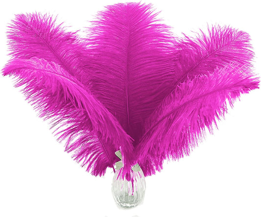 Ballinger Fuchsia Large Ostrich Feathers - 24pcs 8-10inch Hot Pink Feathers for Party Centerpieces, Flower Arrangement and Home Decor