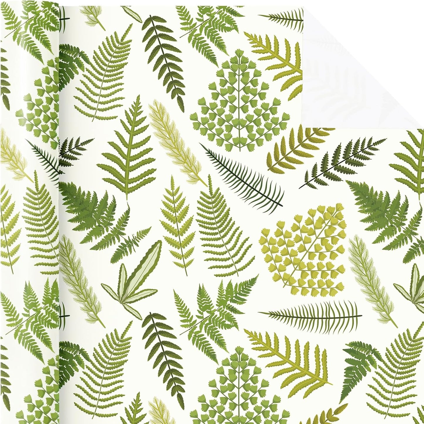 WRAPAHOLIC Fern Wrapping Paper Roll - Mini Roll - 17 Inch x 33 Feet - Woodland Fern Botanical Wrapping Paper Perfect for Birthday, Wedding, Baby Shower