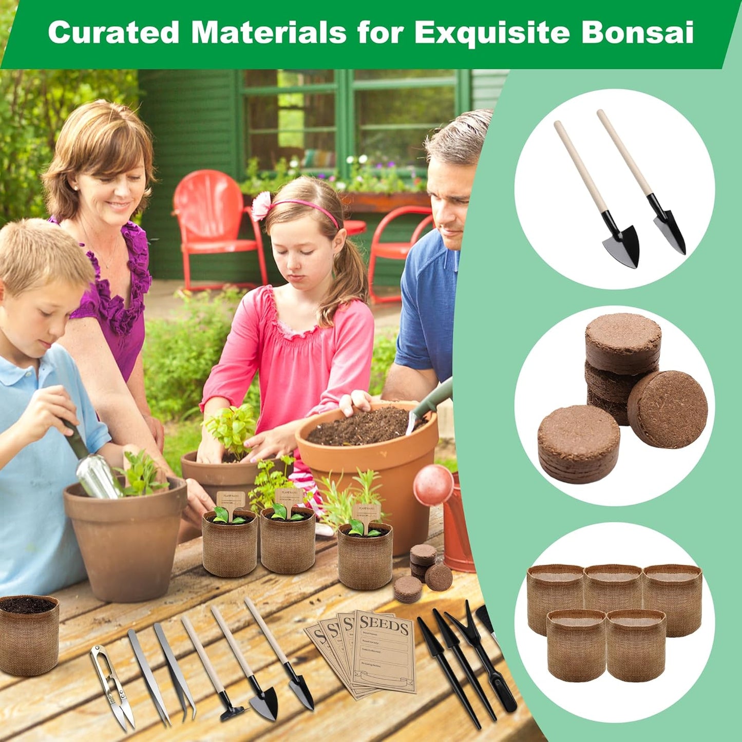 Bonsai Tree Starter Kit, Indoor Bonsai Tree Kit Meeting Planting and Caring Needs Curated Design for A Complete Gardening Experience for Enthusiasts
