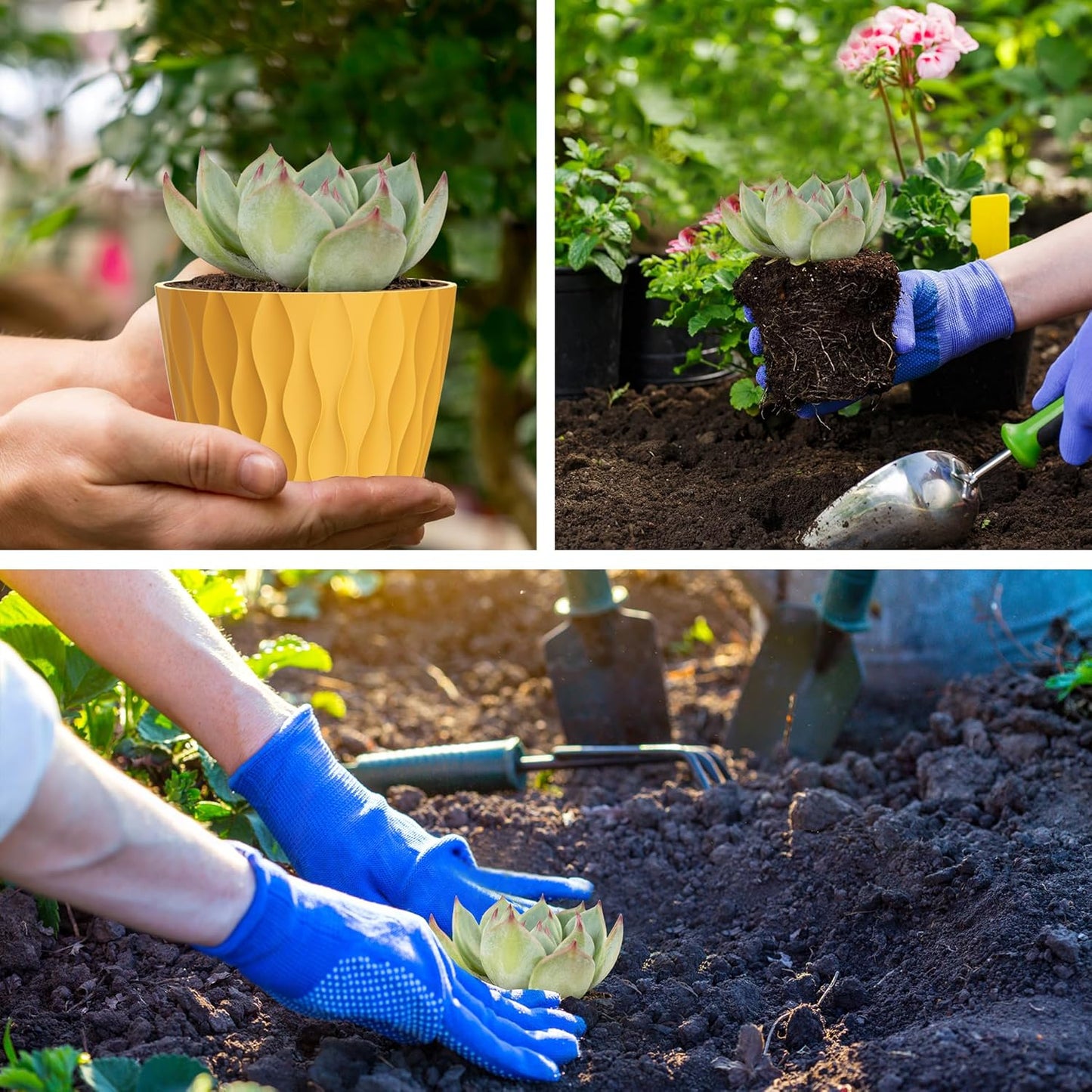 4 Inch Small Pots for Plants, 6 Pack Waffle Texture Small Plant Pots for Succulents, Plastic Planter with Drainage Holes and Saucers for Indoor Outdoor Plants, Flowers, Herbs, Seedlings, Colorful