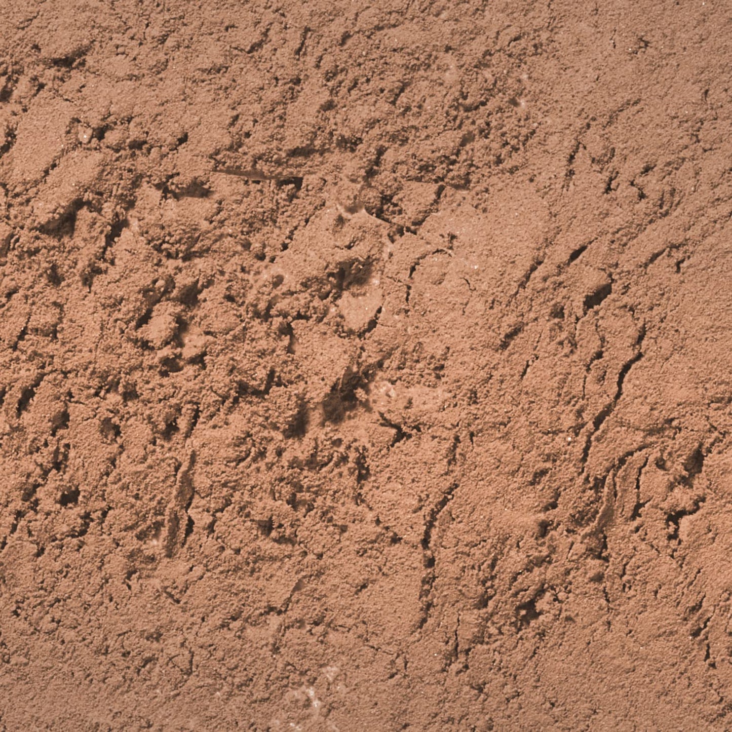 Palladio Brow Powder for Eyebrows, Soft and Natural Eyebrow Powder with Jojoba Oil & Shea Butter, Helps Enhance & Define Brows, Compact Size for Purse or Travel, Includes Applicator Brush, Soft Brown