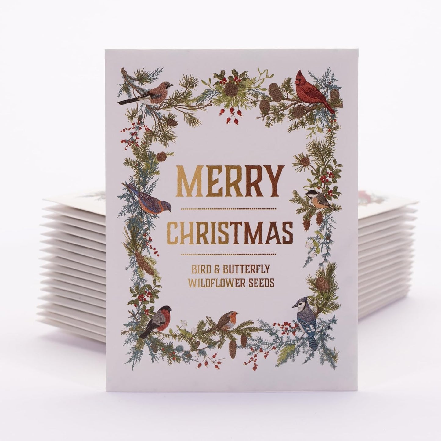 Bentley Seeds Co. Merry Christmas Wreath of Birds Holiday/Christmas Gift Tags | Non-GMO, Non Coated Bird & Butterfly Pollinator Wildflower Seed Mix | 25 Seed Packets