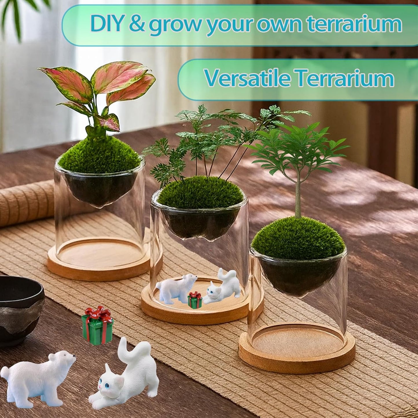 Versatile Plant Propagation Station Vase Hydroponic Planter Pot,Glass Plant Terrarium Kit,Fresh Indoor Herb Garden Kit| Christmas Birthday Gift for Gardener Women Mom Garden Lover | Home Office Decor