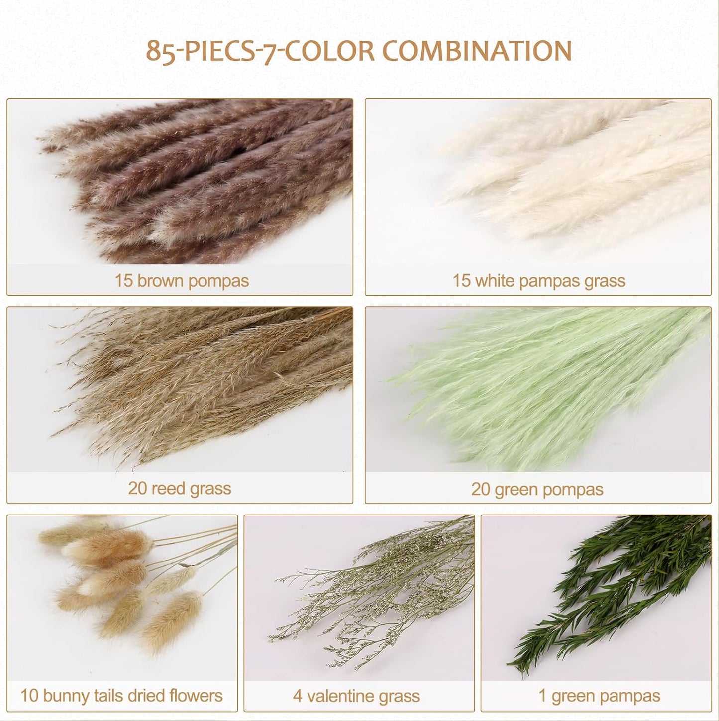 N&T NIETING 85 Pcs Green Dried Pampas Grass-White Pompas Grass, Brown Pampass Grass, Green Pompas, Reed Grass, Valentine Grass, Bunny Tails Dried Fowers for Home Wedding Boho Decor(18 Inch)