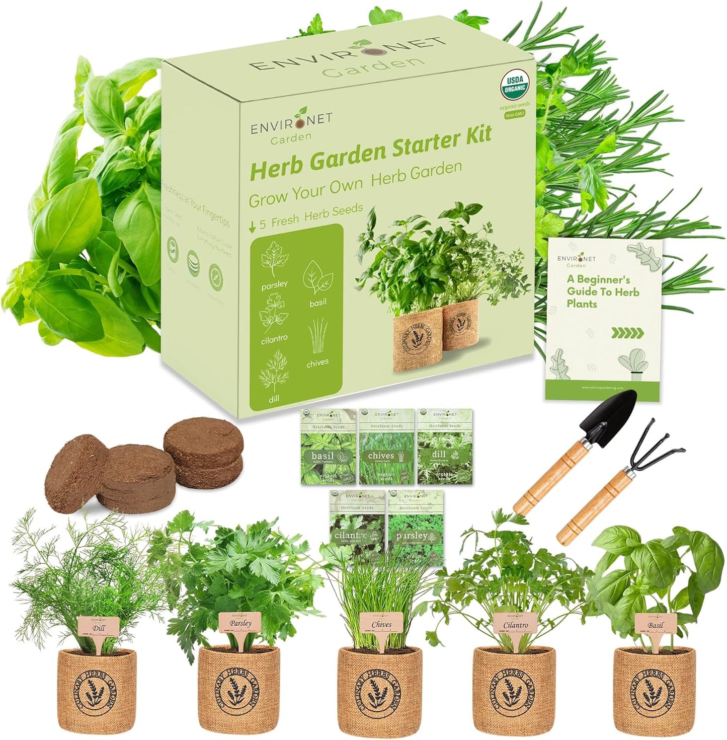5 Herb Indoor Garden Kit-Burlap Pots, Organic Seeds & Complete Growing Herb Garden Set, Easy Kitchen Garden, Unique Seeds Starter kit, Basil, Parsley, Chives, Cilantro, Dill