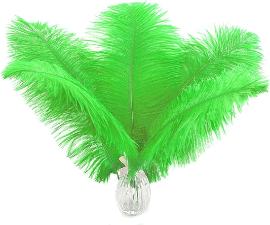 Ballinger Lime Green Ostrich Feathers - 24Pcs 10-12inch Large Green Ostrich Feathers for Vase,Wedding Party Centerpieces and Holiday Home Decor