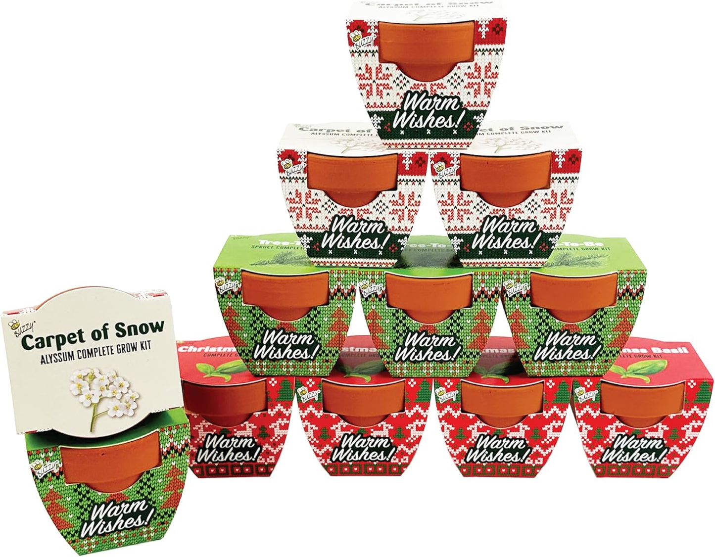 BUZZY Seeds Holiday Mini Terracotta Pots Grow Kit, 12-Pack Assorted Christmas Basil, Spruce, and Alyssum Seed Packets, Indoor Plant Starter Set, Stocking Stuffers, Party Favors