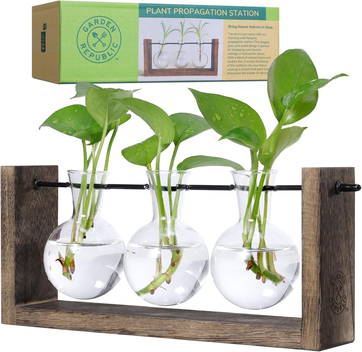 Garden Republic Plant Propagation Station, Wooden Stand with Propagation Tubes, Hanging Plant Glass Tubes Station, Elegant Home Decor, Easy Water Changes, Bamboo Color