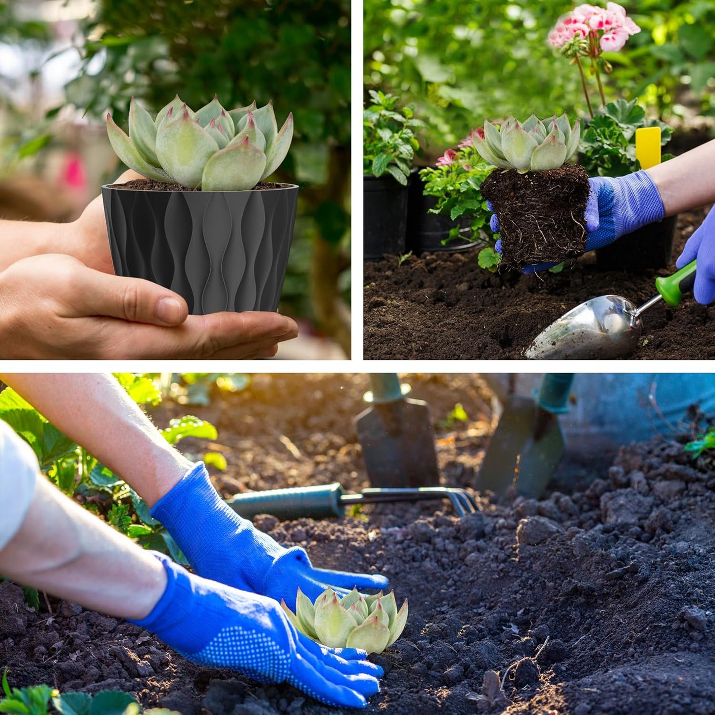 4 Inch Small Pots for Plants, 6 Pack Waffle Texture Small Plant Pots for Succulents, Plastic Planter with Drainage Holes and Saucers for Indoor Outdoor Plants, Flowers, Herbs, Seedlings,Black