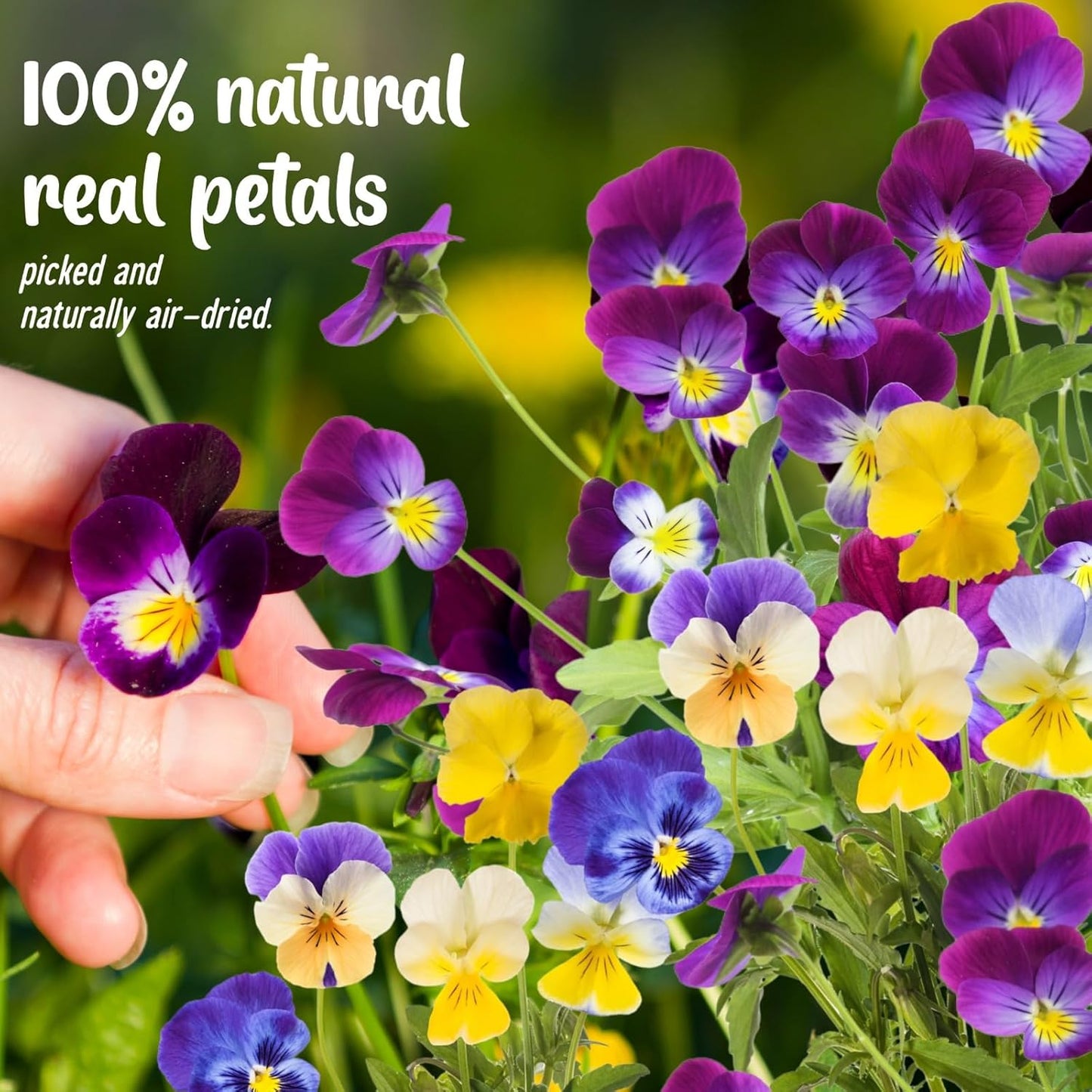 40 Pcs 8 Kinds Natural Dried Pressed Edible Flowers for Cake Topper Decorating - Mix Viola Tricolor for Cupcake Toppers, Cocktails, Resin Jewelry Making, DIY Art Crafts