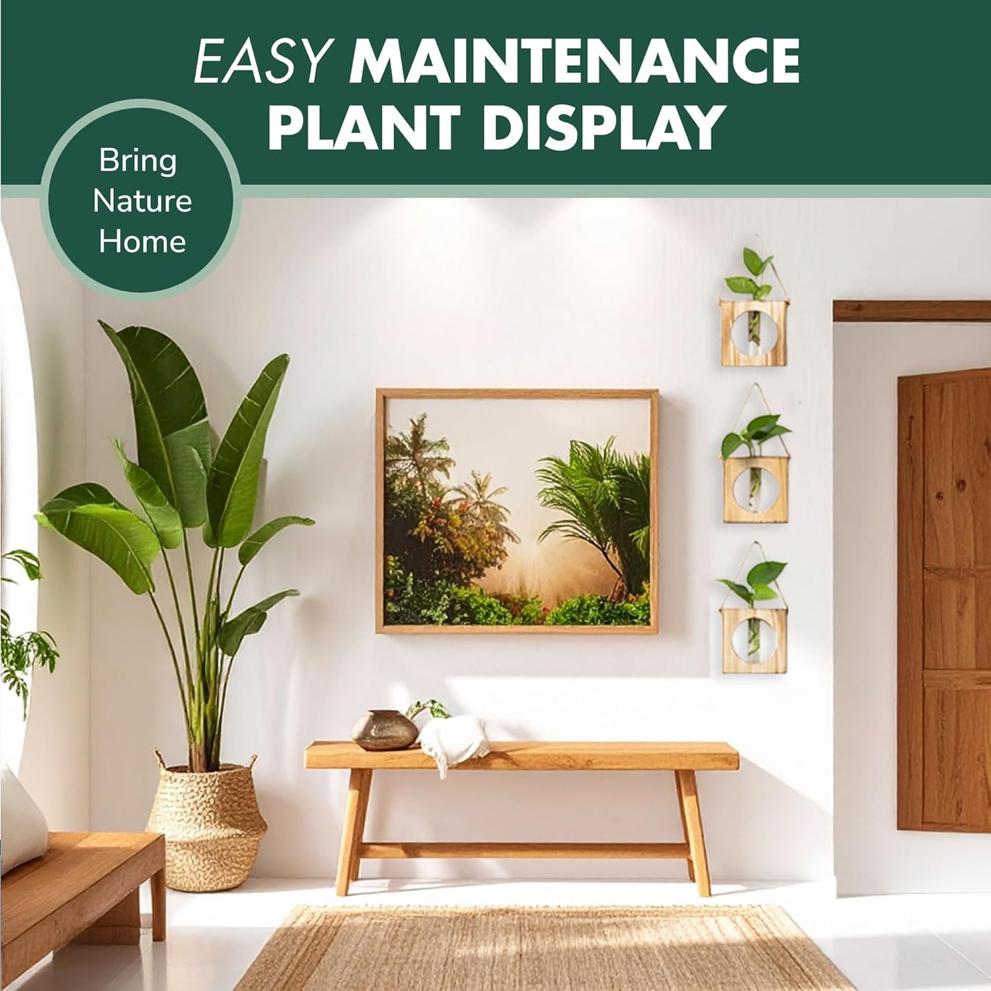 · GARDEN REPUBLIC · Propagation Stations Set of 2 - Propagation Vases for Plants - Hanging Wooden Wall Planter and Glass Test Tubes - Indoor Plant Holder, Hydroponic Decor